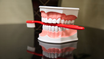 dentures toohbrush